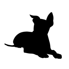 Obraz premium vector, on a white background, black silhouette of a dog lies