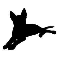 icon, black silhouette of the dog lies