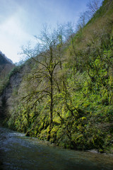 Fototapeta na wymiar A beautiful view of the river Ühaitza and the surroundings, in the gorges of Kakueta (France)