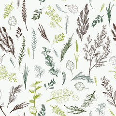 Wild herbs and flowers painted are in engraving style.