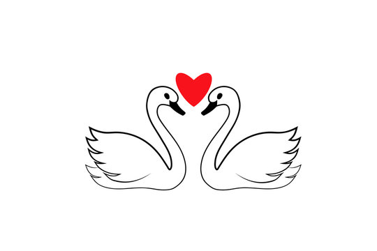 Two swans with heart icon. Clipart image isolated on white background