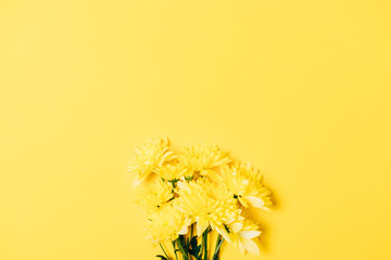 Bouquet of fresh flowers on yellow background