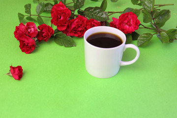hot coffee mug with natural red roses red and green photography