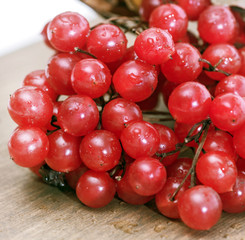 Viburnum berries red ripe