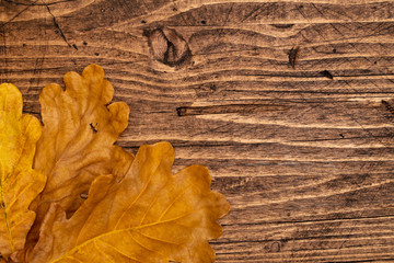 Dried oak leaves on a brown wooden boards background, top view. Background, frame.