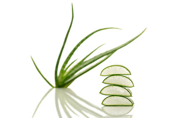 Aloe vera slices and aloe plant, closeup, isolated on white background.