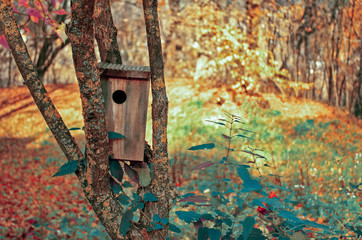 birdhouse on a tree