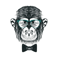 Hipster Strict Monkey Snout Vector Hand Drawn Illustration