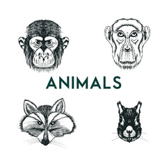 Sketched Drawn Wild Animals Muzzles Vector Set