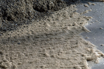 peat fraction, at the processing plant