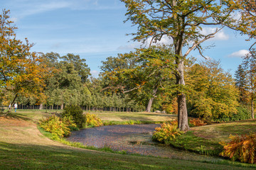 Obraz premium View over a serpentine pond of a landscape garden of Estate Twickel, the Netherlands