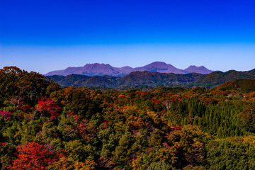 岡城の紅葉