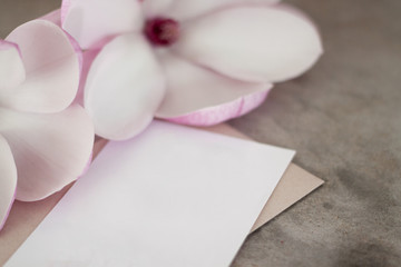 Magnolia Flowers on Texture Background Template