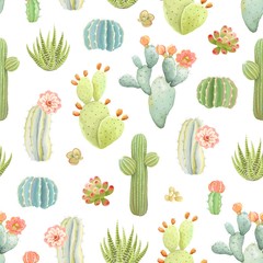 Cacti and succulents on seamless pattern, vector illustration in vintage style on white background.