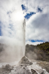 Lady Knox Geyser while Erupting in Wai-O-Tapu Geothermal Area, New Zealand