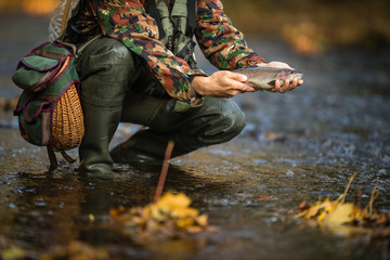 Close-up view of the hands of a fly fisherman holding a lovely trout while  fly fishing on a splendid mountain river
