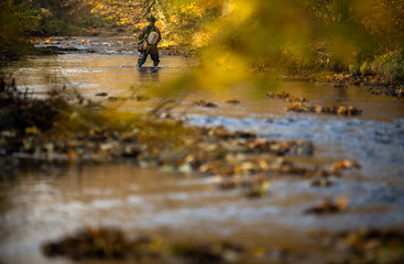 Fly fisherman working the line and the fishing rod while fly fishing on a splendid mountain river for rainbow trout