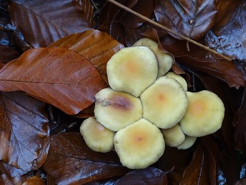 Die Ntur wartet auch im Herbst mit &Uuml;berraschungen auf