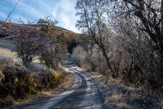 Frost On The Trees In Glen Tilt And Glen Garry