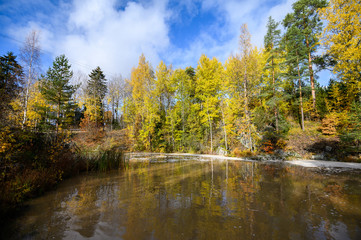 Fototapeta na wymiar Autumn forest with yellow trees, river. Suburb Of Helsinki, Finland