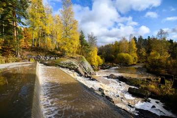 River in the forest with rapids. Autumn. Suburb Of Helsinki, Finland