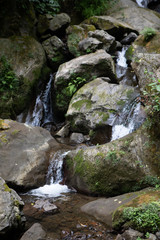 Fototapeta na wymiar Waterfall among stones inside forest forming stream of fresh water