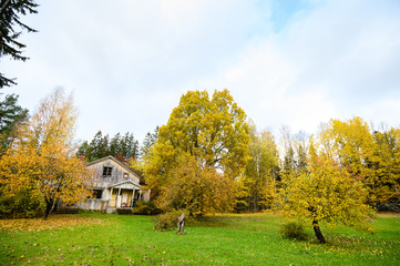 Old House with nice garden in autumn. Suburb of Helsinki, Finland.