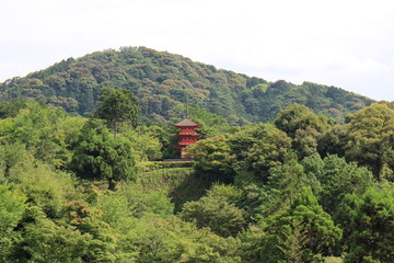 A red pagoda in forest in Kyoto