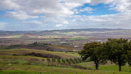 Typical Tuscany cultivation Fields Landscape scenic