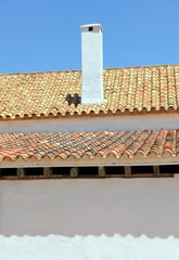 Typical Andalusian cortijo (farmhouse), traditional and popular architecture of whitewashed walls and roofs of Arab style tiles. Seville Andalucia Spain