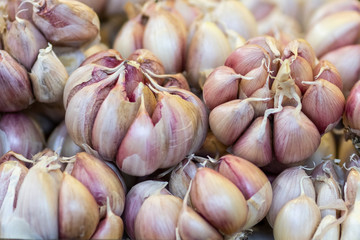 Whole garlic background, spice or vegetable closeup photo. Garlic bulb pile top view. 