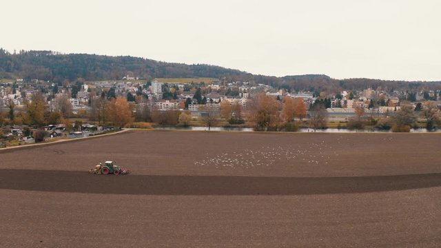 lock of seagulls following a tractor on farmland