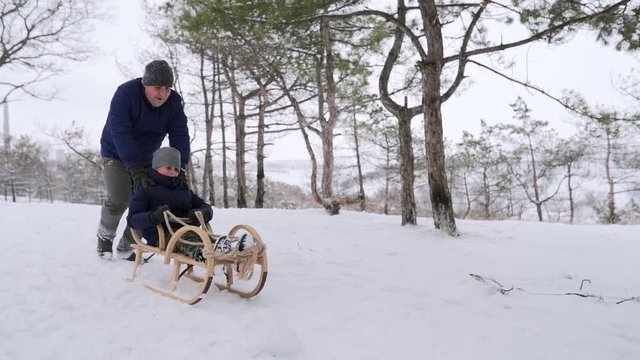 Father launches son pushing sled down the hill on snowy winter day in park. Boy sledge outdoors. Happy family sledding. People sleigh ride and enjoy Christmas vacation in forest. Slow motion.
