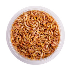 Dried gammarus shrimp in plastic container isolated on white. Food for fish and turtles. Top view.