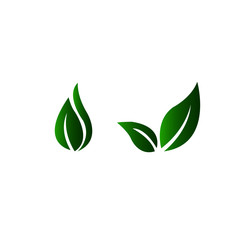 Eco green icon vector - illustration