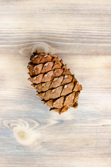 Pine cone on light wooden background. Healthy eating, organic food, vegetarian concept. Copy space