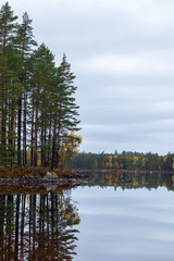 Forest by a lake during a cloudy day creating a reflection in the water of the trees and sky. 