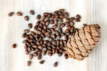 Pine cone and nuts on light wooden background. Healthy eating, organic food, vegetarian concept.