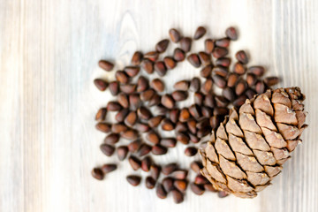 Pine cone and nuts on light wooden background. Healthy eating, organic food, vegetarian concept.