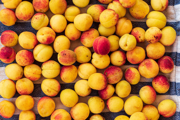 background of ripe organic apricots