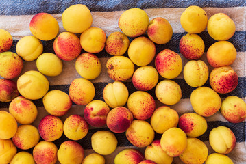 background of ripe organic apricots