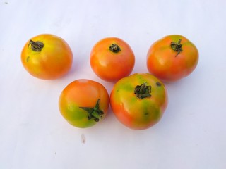 fresh organic tamotoes isolated on white background