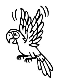 exotic parrot Rosella flies and smiles, black and white cartoon
