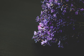 A beautiful lavender on a black wooden background. Dark lilac and blue flowers of lavender.