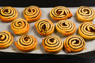Baked cookies with raisins and poppy seeds on a trail.