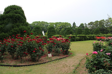 An English garden in Kyoto, Japan