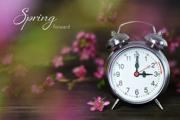 Spring forward. Daylight Saving Time