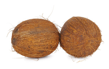 Whole coconut close up isolated on white background