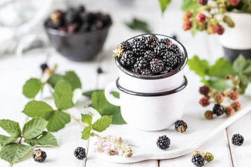 Fototapeta na wymiar Fresh ripe blackberry in a ceramic cup.