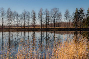Beautiful autumn landscape of Kymijoki river waters. Finland, Kymenlaakso, Kouvola